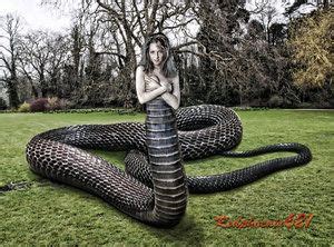 half snake half woman|Echidna